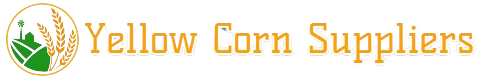 Yellow Corn Suppliers
